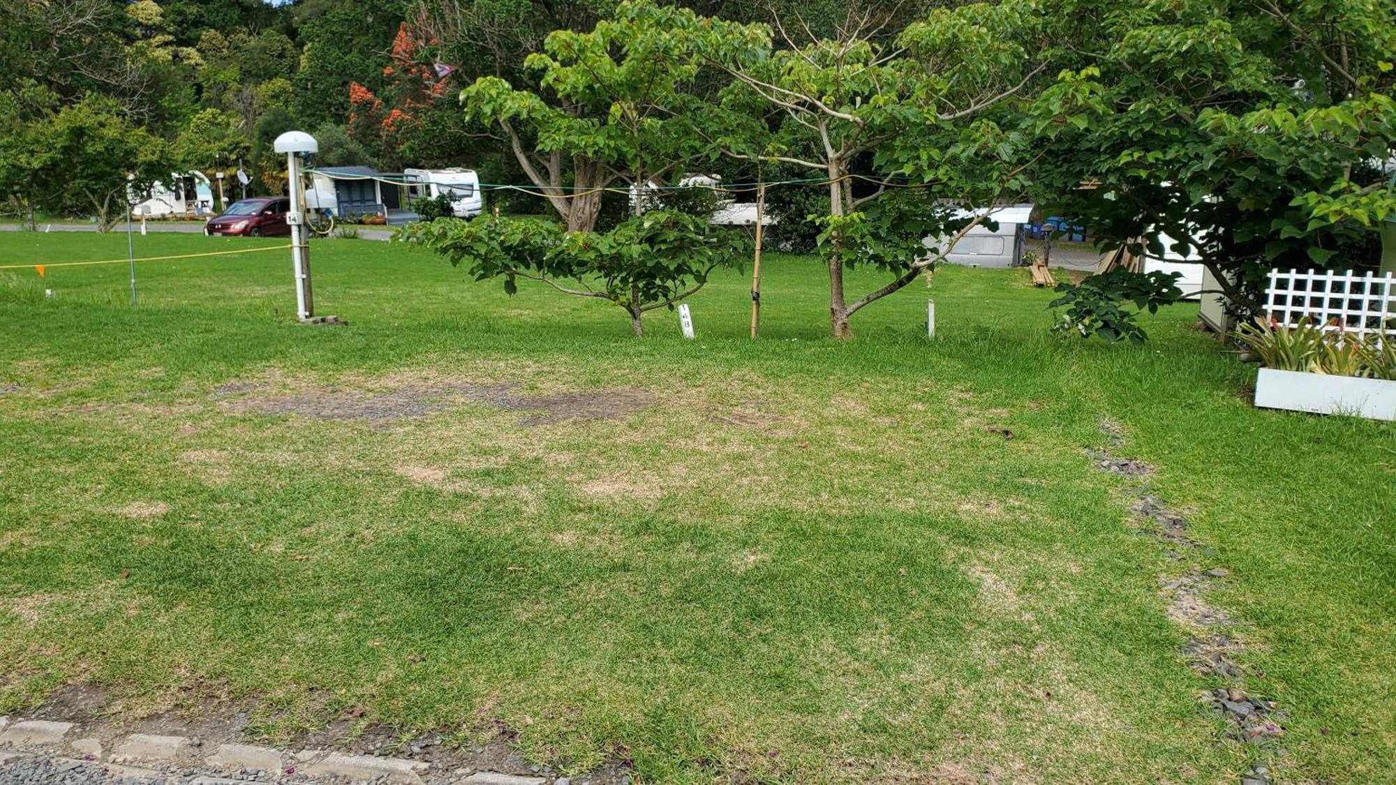 Dickson Holiday Park Thames Εξωτερικό φωτογραφία