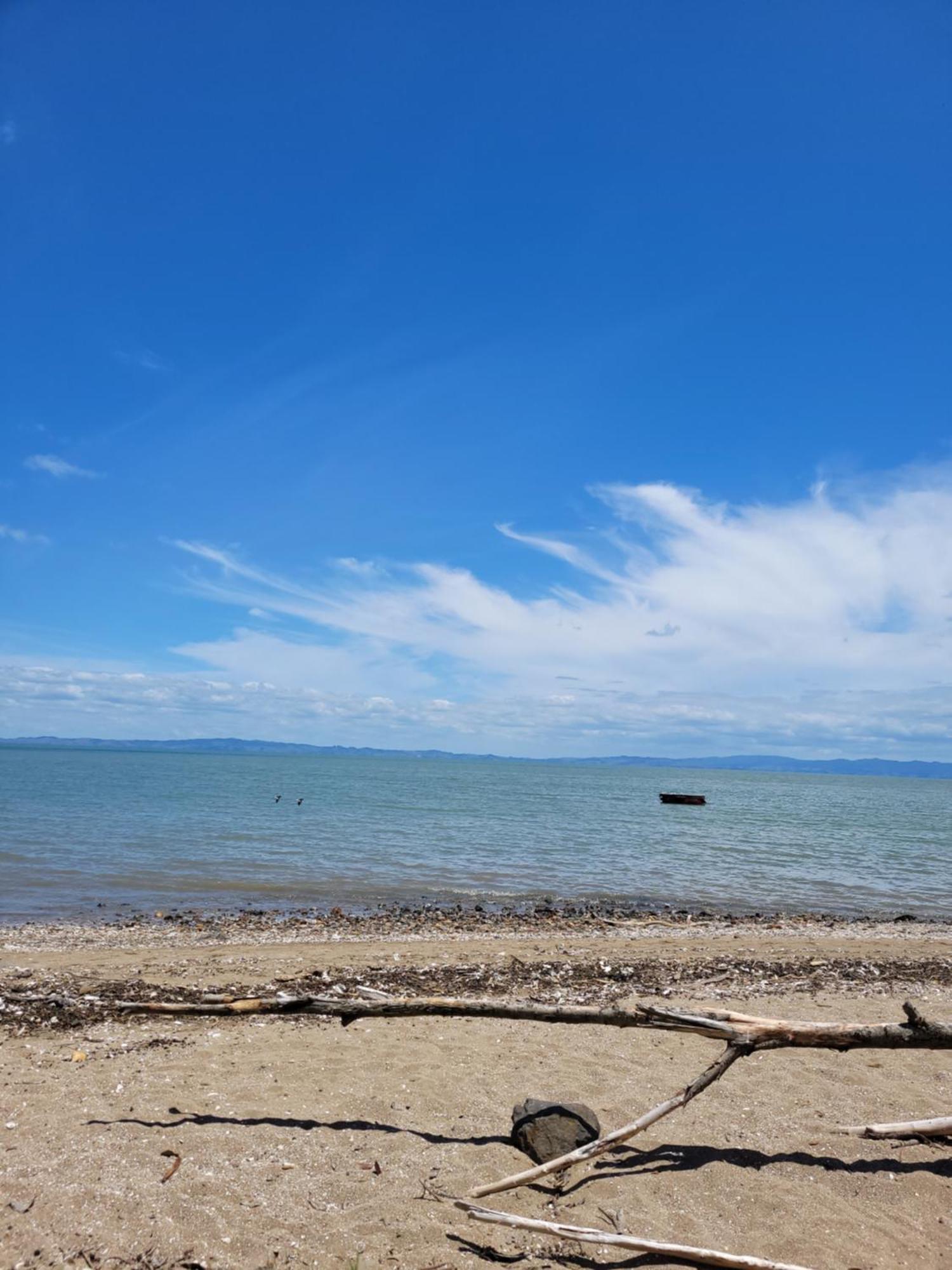 Dickson Holiday Park Thames Εξωτερικό φωτογραφία