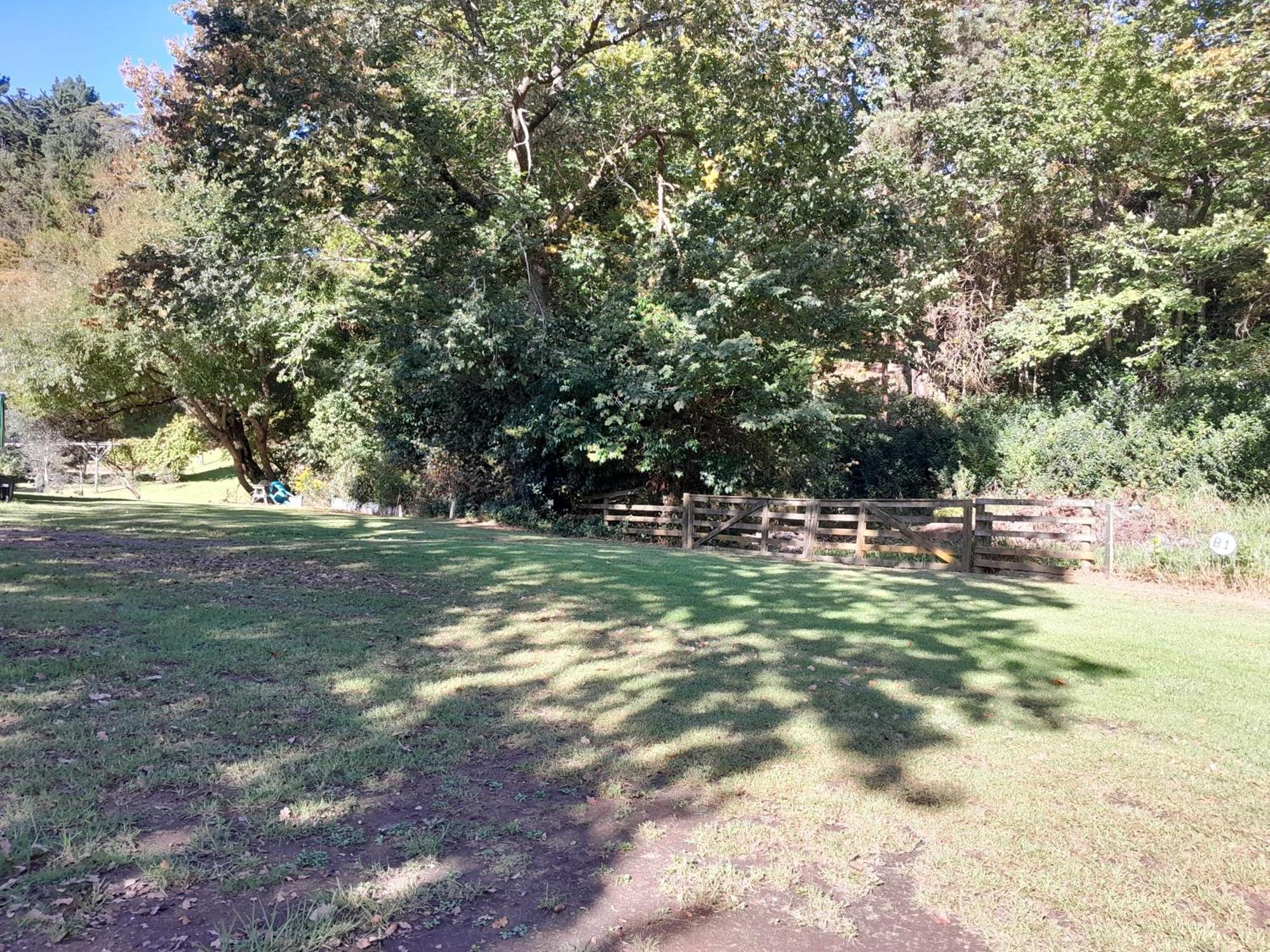Dickson Holiday Park Thames Εξωτερικό φωτογραφία