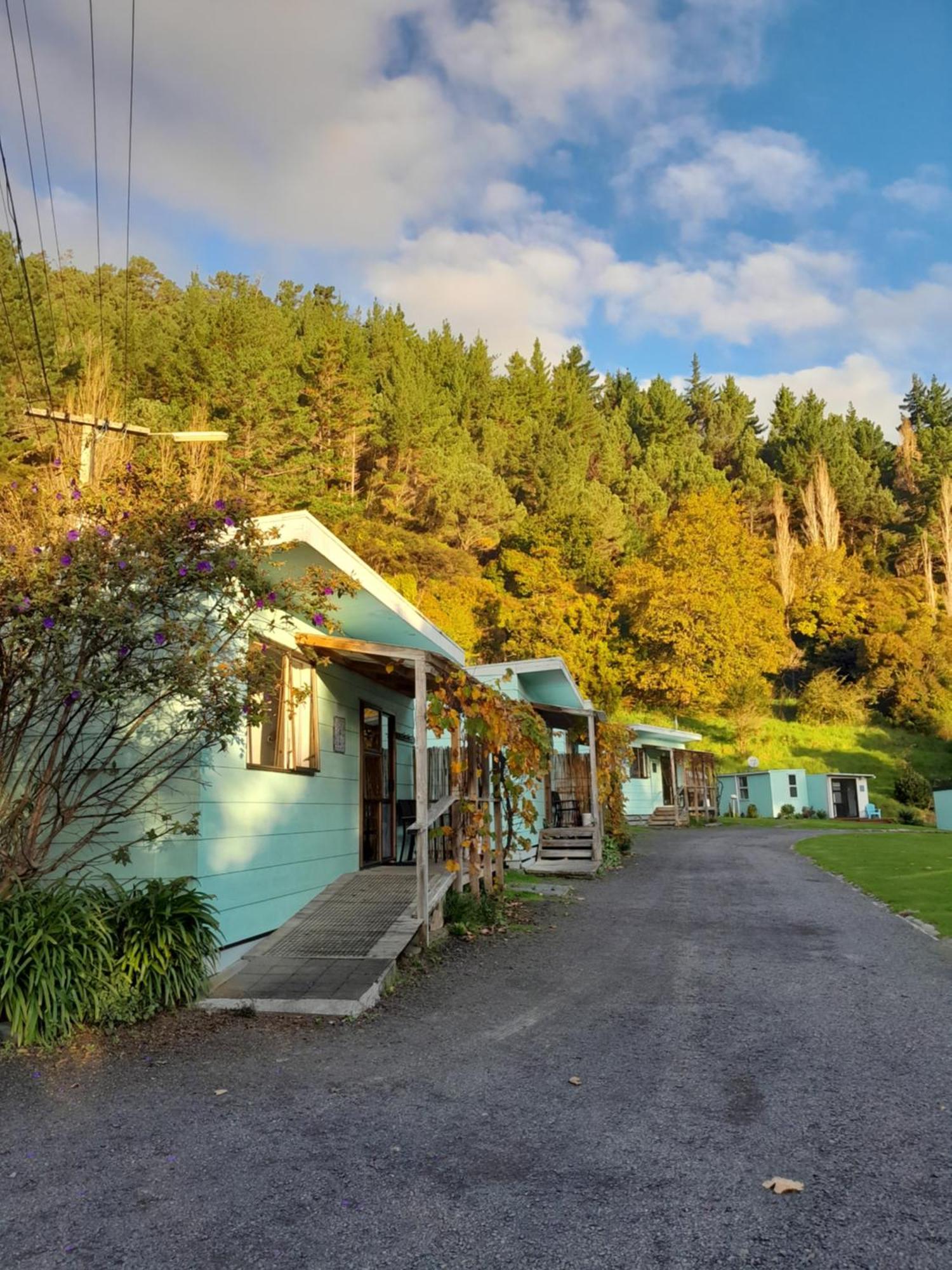 Dickson Holiday Park Thames Εξωτερικό φωτογραφία